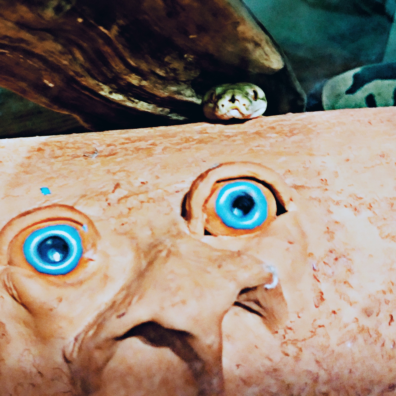 Un sweat avec 20 euros
                   